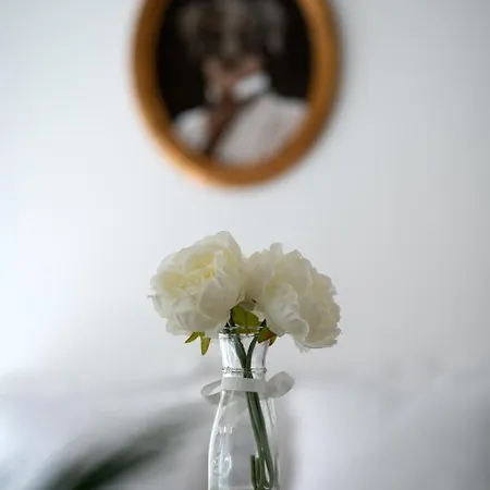 Apartamento Little Mama Including Free Parking At 100 Meters